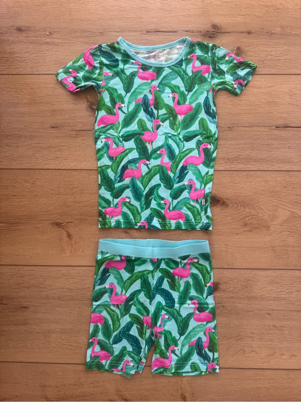 Little Sleepies Pink Flamingo Pajama Set with Green Leaf Print